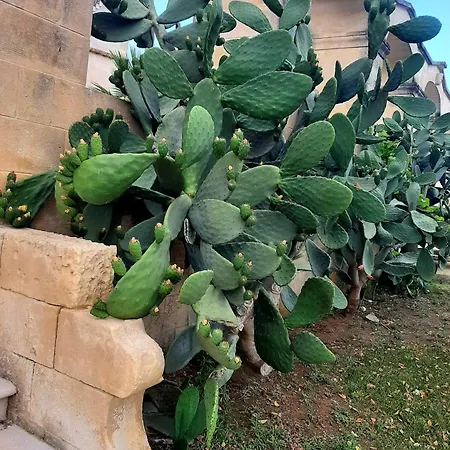 Carrieri