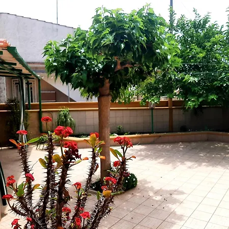 Carrieri